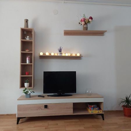 Apartament Ambrus Сігішоара Екстер'єр фото