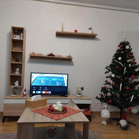 Apartament Ambrus Сігішоара Екстер'єр фото