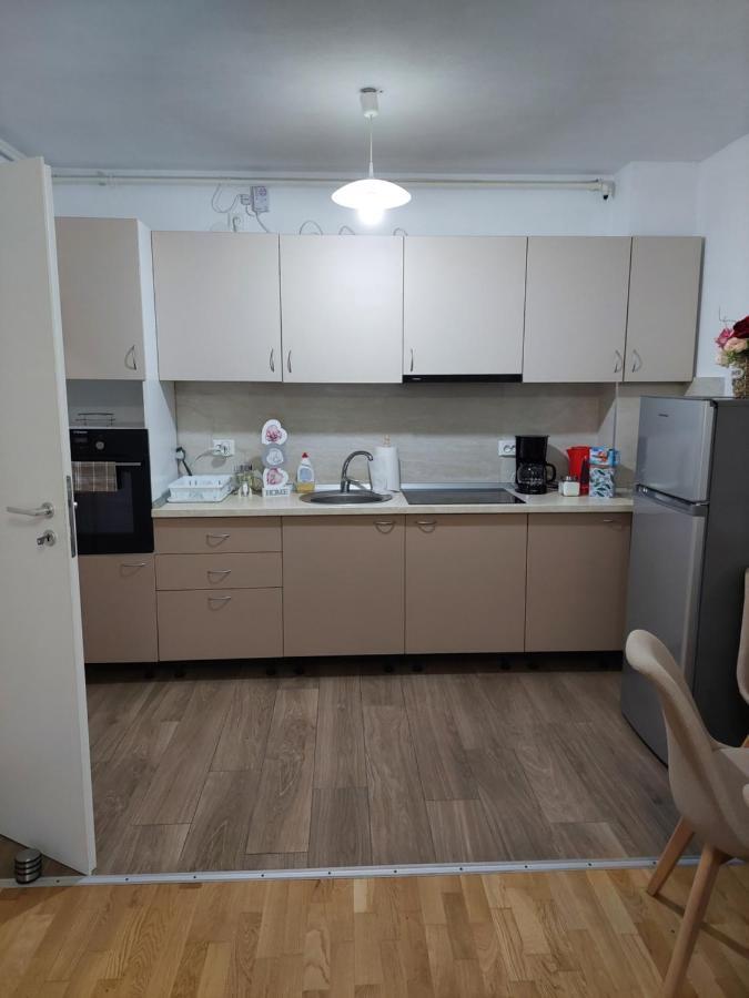 Apartament Ambrus Сігішоара Екстер'єр фото