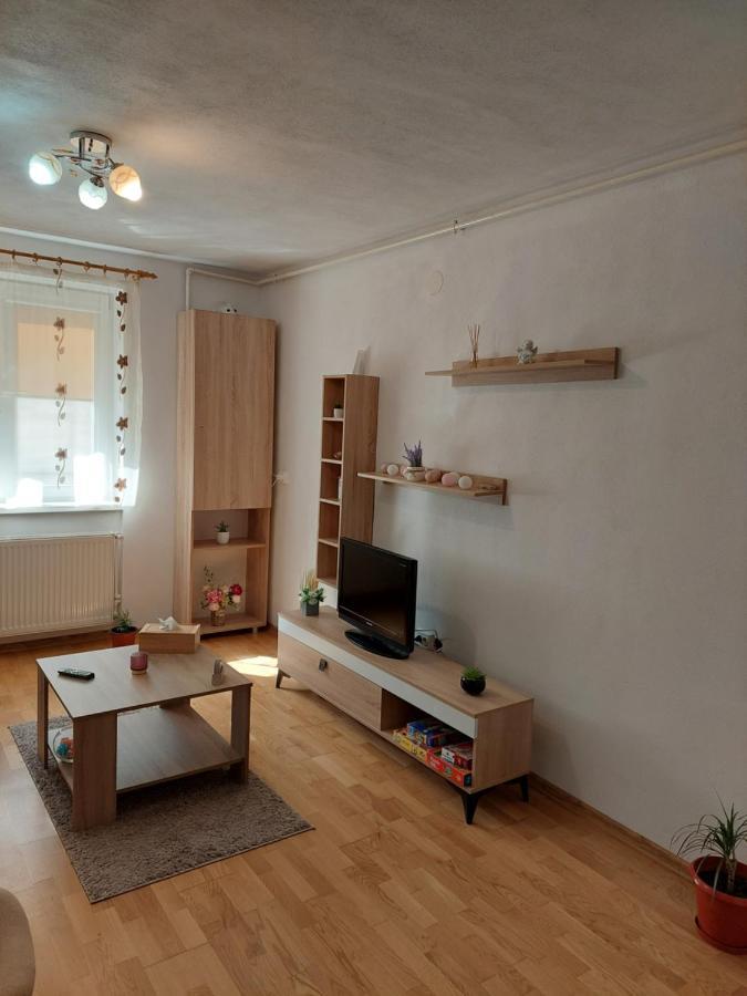 Apartament Ambrus Сігішоара Екстер'єр фото